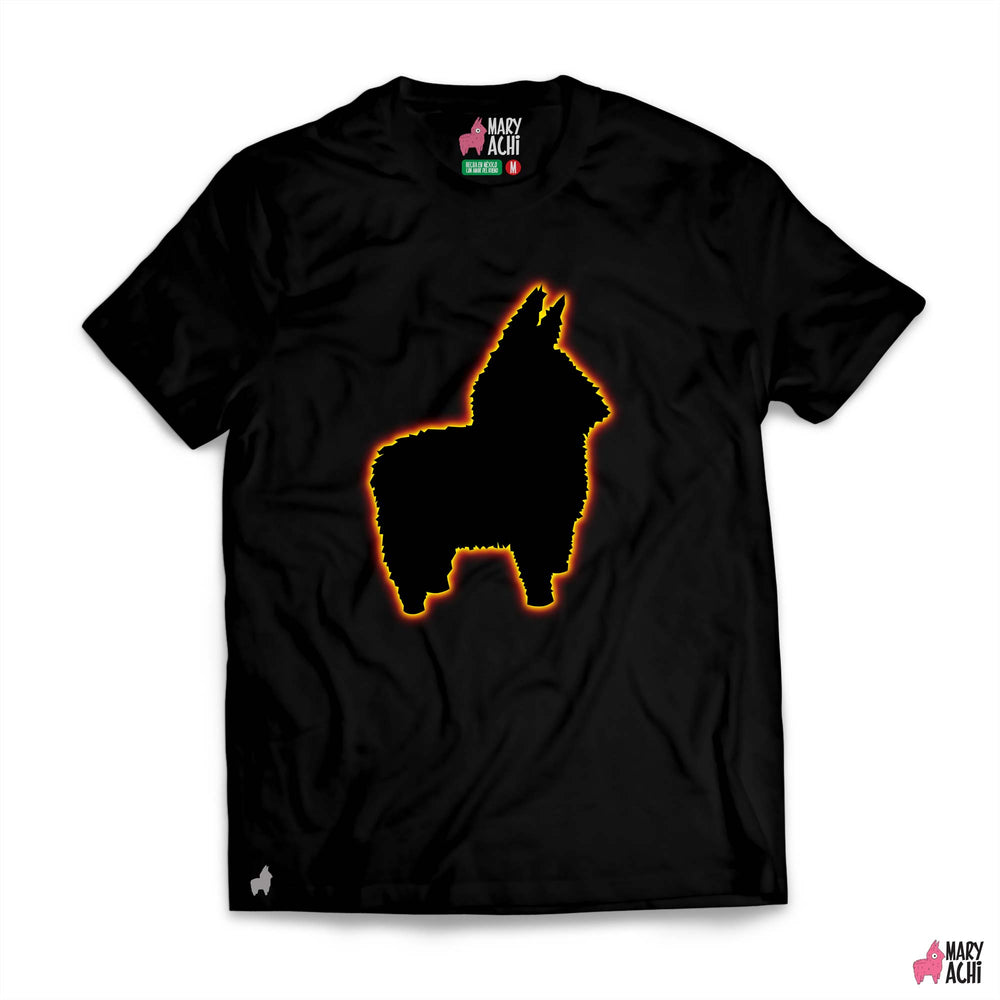 El Burrito Eclipsado - Infantil